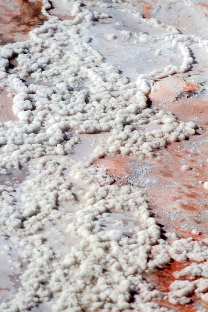 Photo plan d'arrière-plan d'une solution saline sèche créant une croûte de sel.
