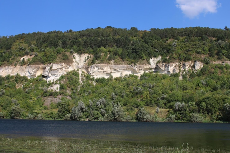 Photo un plan d'eau avec des arbres sur le côté