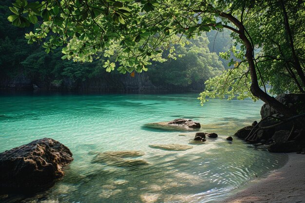 Photo un plan d'eau entouré d'arbres et de rochers