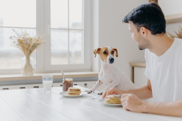 Plan horizontal d'un homme et d'un chien mangeant ensemble pose à la table de la cuisine contre une grande fenêtre se regardent avoir de bonnes relations profiter de l'atmosphère domestique Concept de nutrition des animaux domestiques