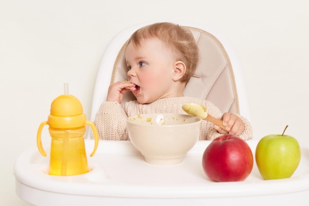 Plan horizontal d'une jolie petite fille affamée s'habille en pull beige assis dans une chaise haute et mangeant de la bouillie ou de la purée en détournant les yeux avec la bouche ouverte posant isolé sur fond blanc