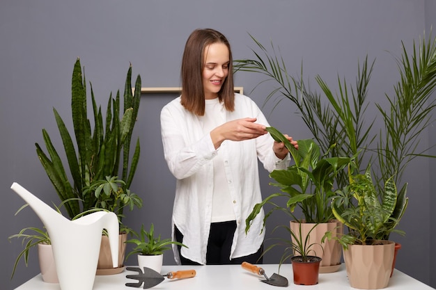 Plan intérieur d'une jolie fleuriste caucasienne aux cheveux bruns portant une chemise blanche debout près de la table dans un magasin de fleurs explorant les feuilles de la plante appréciant son travail