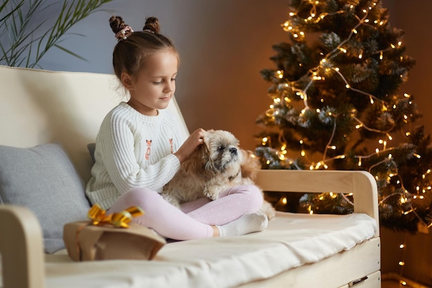 Plan intérieur d'une jolie petite fille calme avec deux chignons portant des vêtements décontractés assise sur un canapé avec son chiot pékinois et jouant avec son animal de compagnie préféré