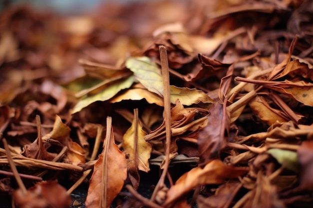 Plan macro sur des feuilles de thé flétries prêtes pour le traitement créées avec une IA générative