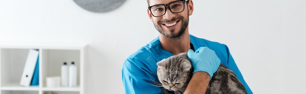 Plan panoramique d'un beau vétérinaire souriant à la caméra tout en tenant un chat droit écossais tabby