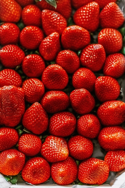 Plan plein cadre de fraises