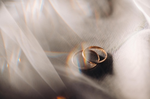 Plan rapproché de deux anneaux de mariage d'or pour un mariage