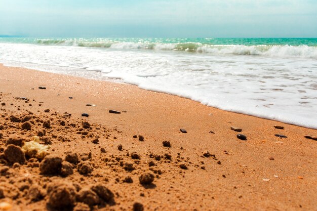 Plan rapproché du modèle de sable d'une plage pendant l'été