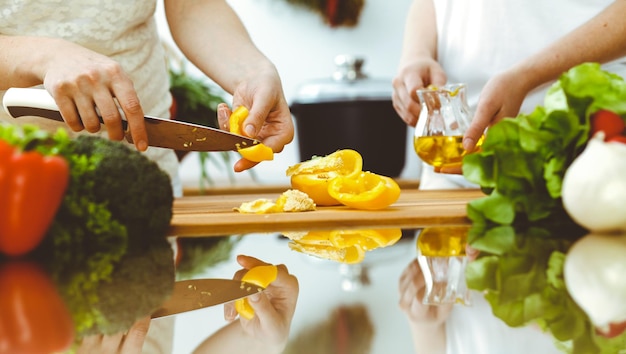 Plan rapproché des mains humaines faisant cuire dans la cuisine Mère et fille ou deux amies coupant des légumes pour la salade fraîche Dîner de famille d'amitié et concepts de style de vie