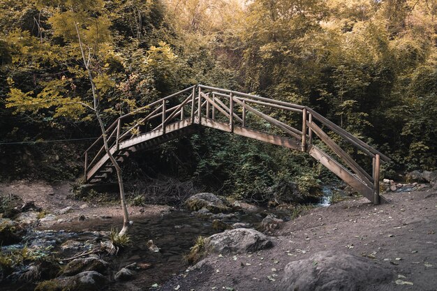 Plan rapproché d'un pont en bois au-dessus d'une rivière peu profonde dans la forêt