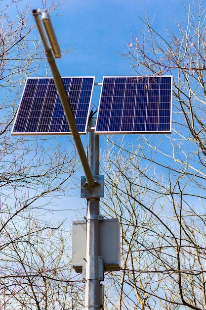 Plan rapproché d'une rangée solaire photovoltaïque moderne dans la perspective des arbres et du ciel bleu