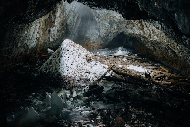 Plan rapproché des roches couvertes dans la glace dans une forêt sous la lumière du soleil