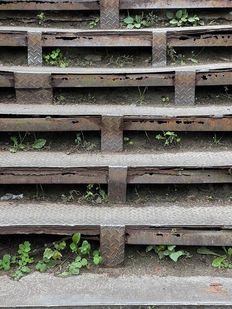 Plan vertical d'escaliers en métal rouillé avec de petites plantes et de l'herbe poussant à travers le fer