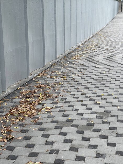 Plan vertical de feuilles d'automne sur le trottoir près d'un mur gris texturé à l'extérieur