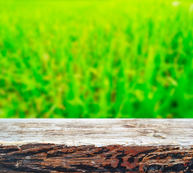 Planche de bois sur l'herbe verte