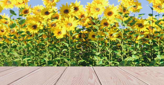 Planche de bois vide avec fond de champ de tournesol