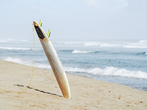 Planche de surf en laisse sur le sable avec l'océan