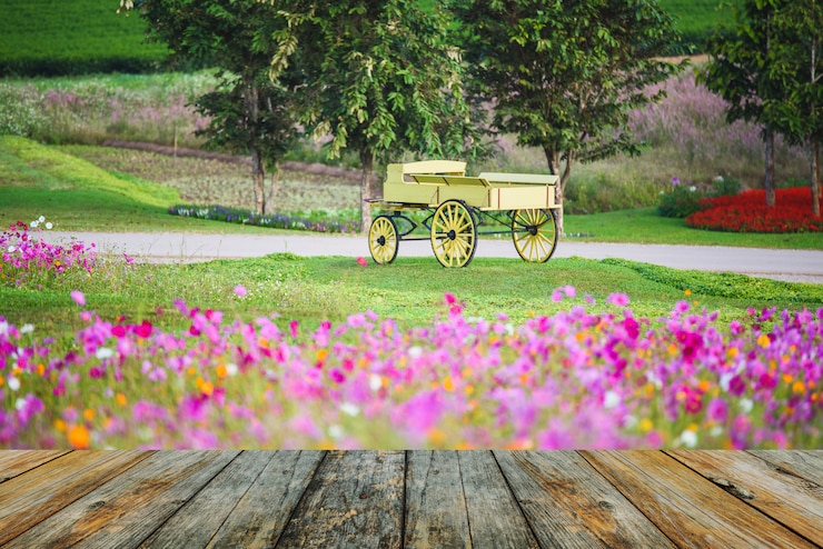 Photo plancher de bois sur le chariot sur l&#39;herbe verte au lever du soleil