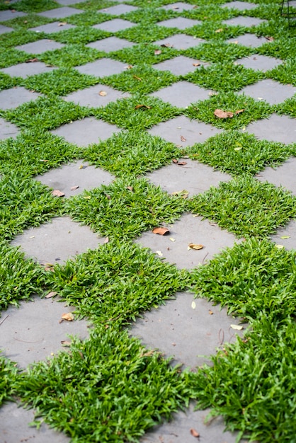 plancher vert dans l&#39;arrière-cour