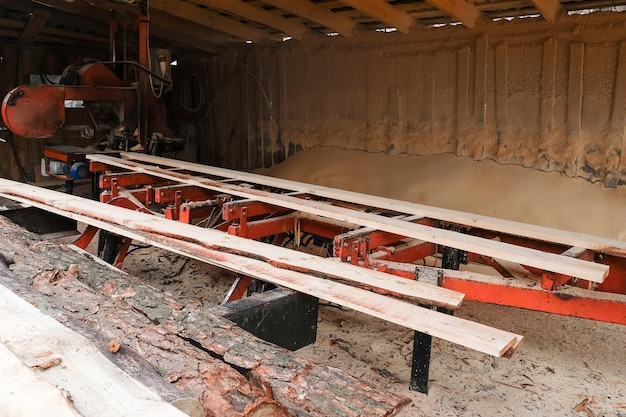 Planches en bois dans l'entrepôt de la scierie Industrie du bois