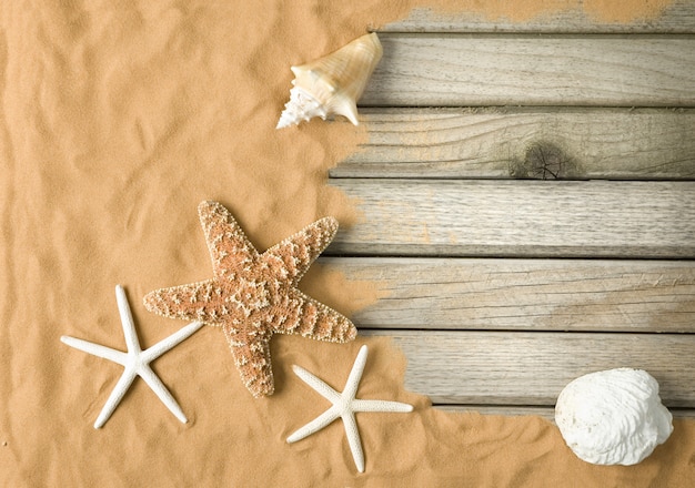 Planches de bois et sable avec étoiles de mer et coquillages