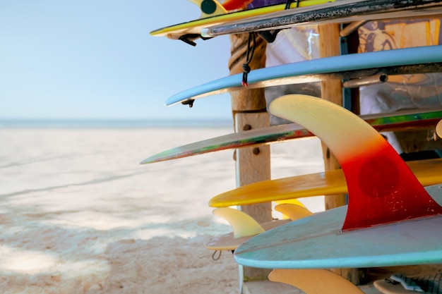 Planches de surf colorées en magasin à louer sur la plage