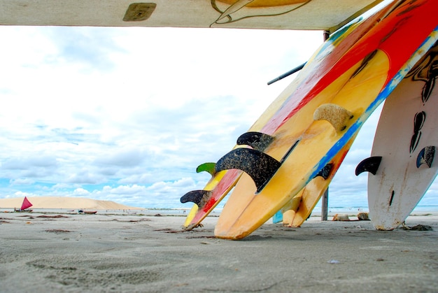 Planches de surf à Jericoacoara