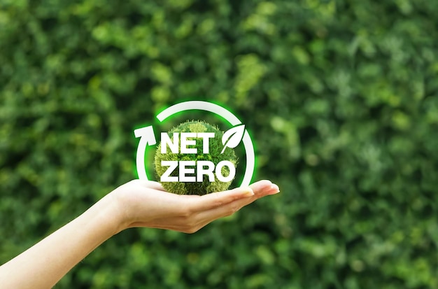 Planète terre verte entre les mains avec l'icône Net zéro et le concept neutre en carbone dans la main pour le zéro net