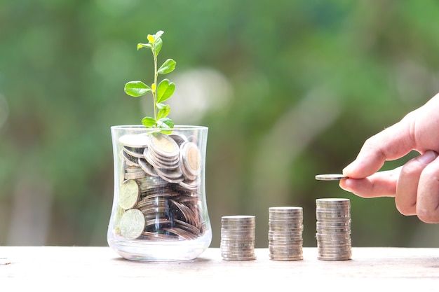 Photo plant growing in savings coins - économiser de l'argent