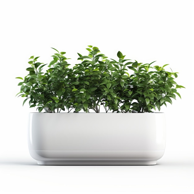Plant de menthe dans un pot isolé sur fond blanc illustration 3D