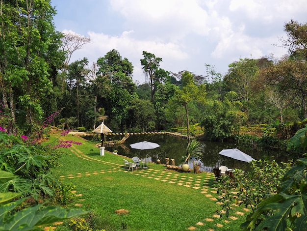 La plantation de café au Laos