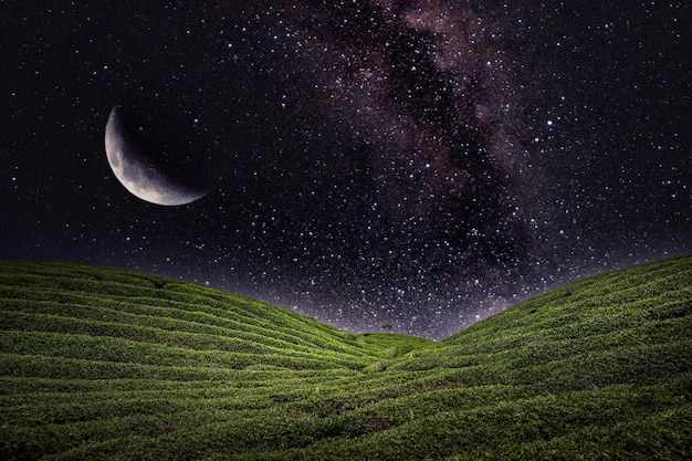 Plantation de champs de thé dans la belle nuit et le ciel