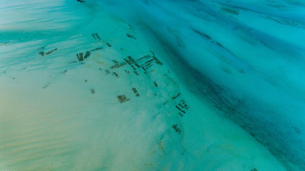 Plantation de mauvaises herbes de mer à Zanzibar