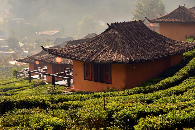 Plantation de thé et village à Ban Rak Thai, une attraction touristique populaire. Province de Mae Hong Son, au nord de la Thaïlande.