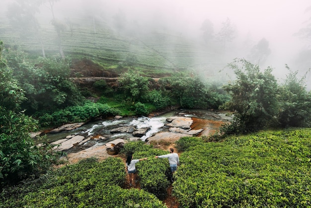 Photo plantations de thé vert dans les montagnes. un couple amoureux se rend au sri lanka. voyage de noces. plantations de thé au sri lanka. le couple parcourt le monde. voyageurs en asie. couple en vacances. suivez-moi