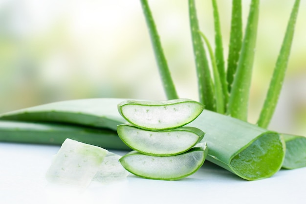 Plante d'aloe vera et tranche d'aloevera avec gel sur table en bois