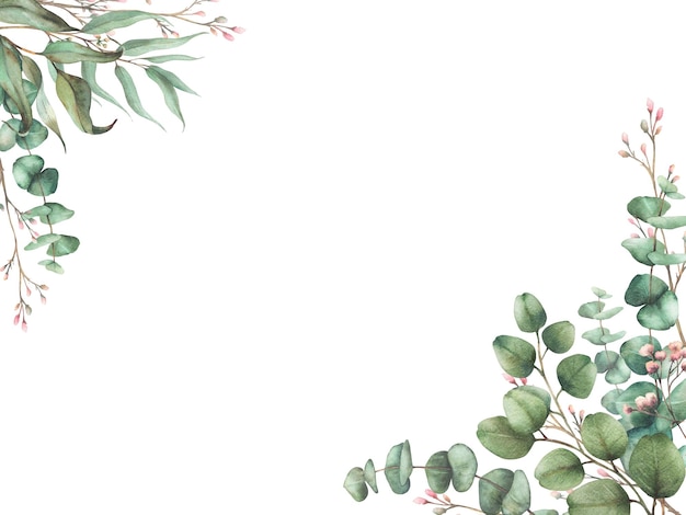 Plante d'arbre à graines d'eucalyptus avec une branche de laurier et une brindille avec des bourgeons et des fleurs roses
