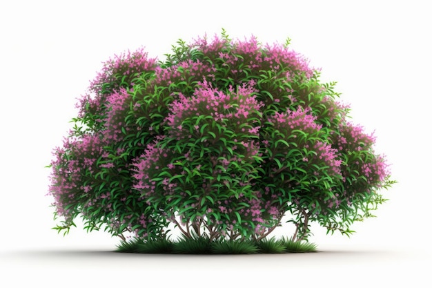 Une plante aux fleurs violettes