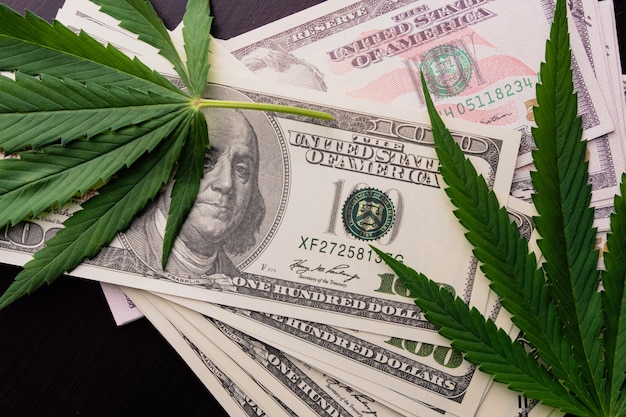 La plante de cannabis sur les dollars américains. Argent avec des feuilles de marijuana.