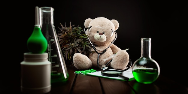 Photo la plante de cannabis à des fins médicales et de recherche , composition créative avec un ours en peluche