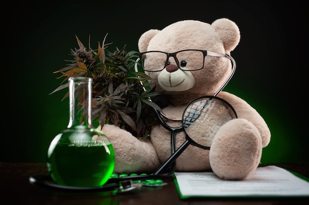 Photo la plante de cannabis à des fins médicales et de recherche , composition créative avec un ours en peluche