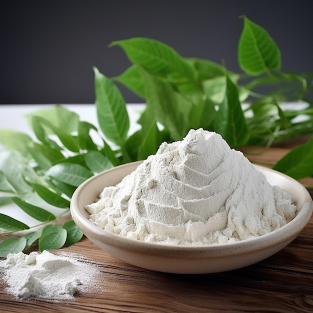 Photo plante de carragène ridée avec une poudre blanche naturelle pure sur le bol