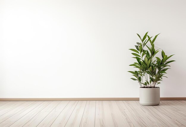 une plante dans un pot blanc est assise sur un sol en bois