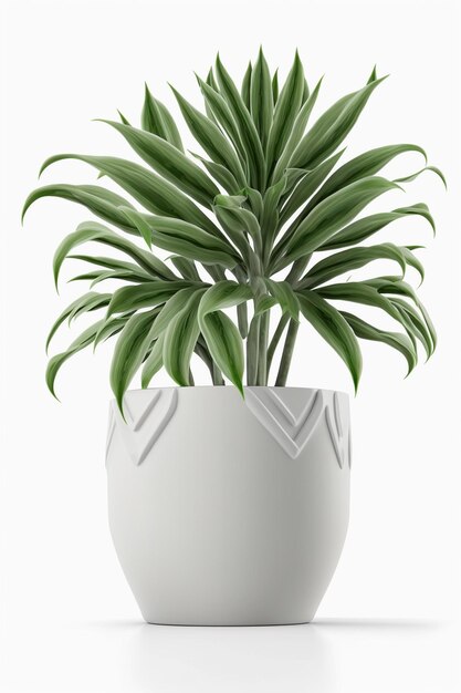 Photo une plante dans un pot blanc avec une plante verte à l'intérieur.