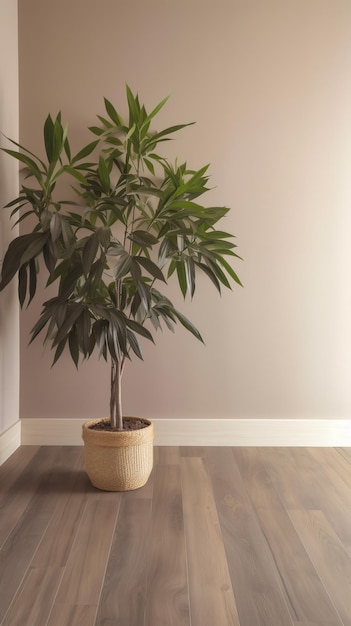 Une plante dans un pot sur un plancher en bois