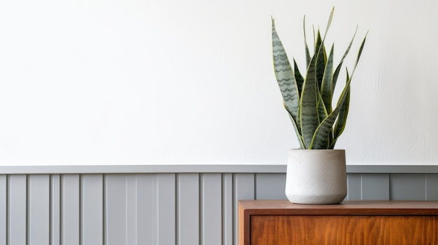 Une plante est posée sur une armoire en bois devant un mur blanc.