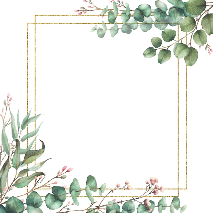 Photo plante d'eucalyptus et brindille de fleur de gypsophile avec cadre doré modèle de carte carrée florale à aquarelle
