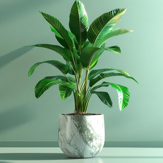 une plante avec des feuilles vertes dans un pot blanc sur une table