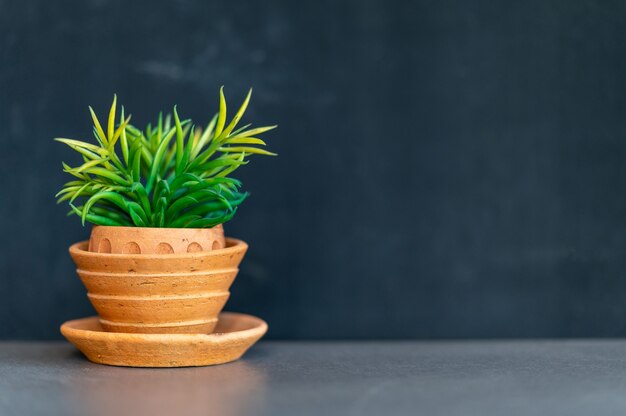 La plante à feuilles vertes a été plantée dans un pot posé sur le bureau.