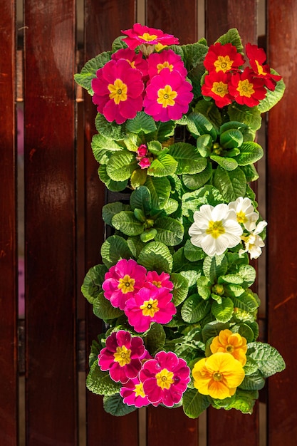 Une plante avec une fleur dessus